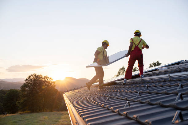 Best Roof Moss and Algae Removal  in Sterling Heights, MI