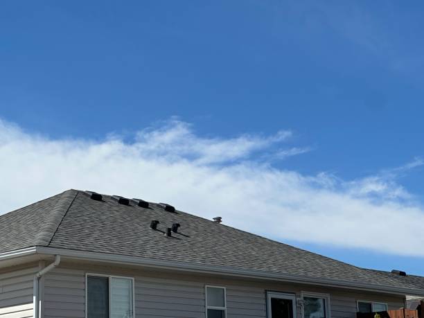 Best Tile Roofing Installation  in Sterling Heights, MI